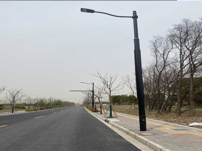 琼山区上海综合杆 太阳能路灯工程